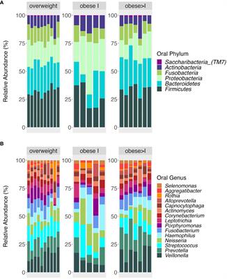 Cytokine and microbiota profiles in obesity-related hypertension patients